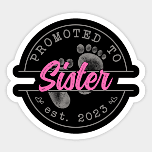 Promoted to Sister - Mothers Day 2023 Sticker